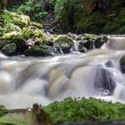 Ravennaschlucht im Sommer