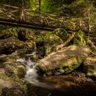 Ravennaschlucht Schwarzwald