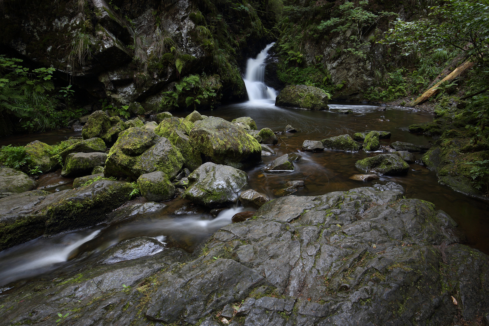 Ravennaschlucht, Schwarzwald