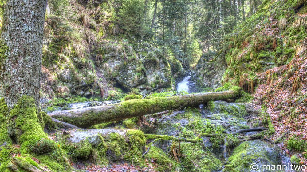 Ravennaschlucht - Schwarzwald