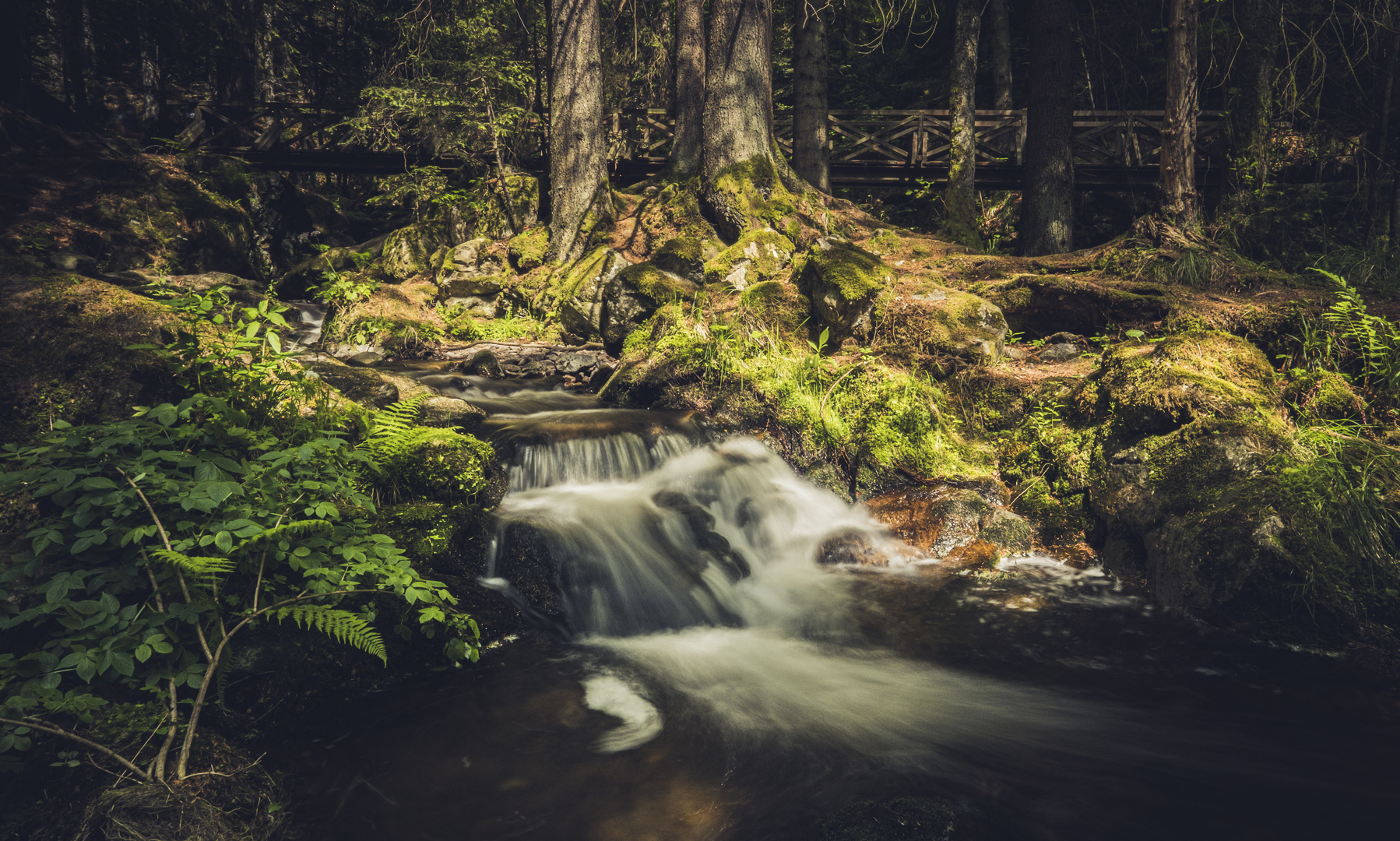 Ravennaschlucht Schwarzwald