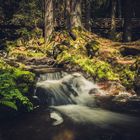 Ravennaschlucht Schwarzwald