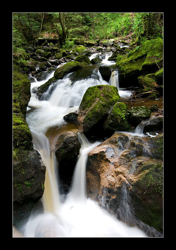 Ravennaschlucht, Schwarzwald