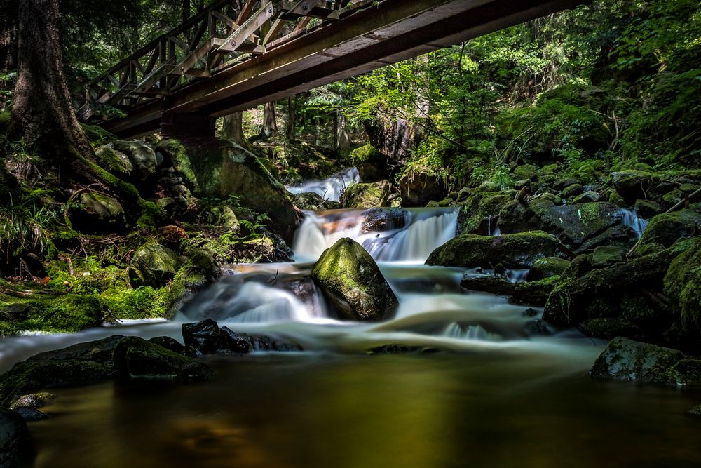 Ravennaschlucht - Under the bridge