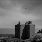 Ravens over the Ruins