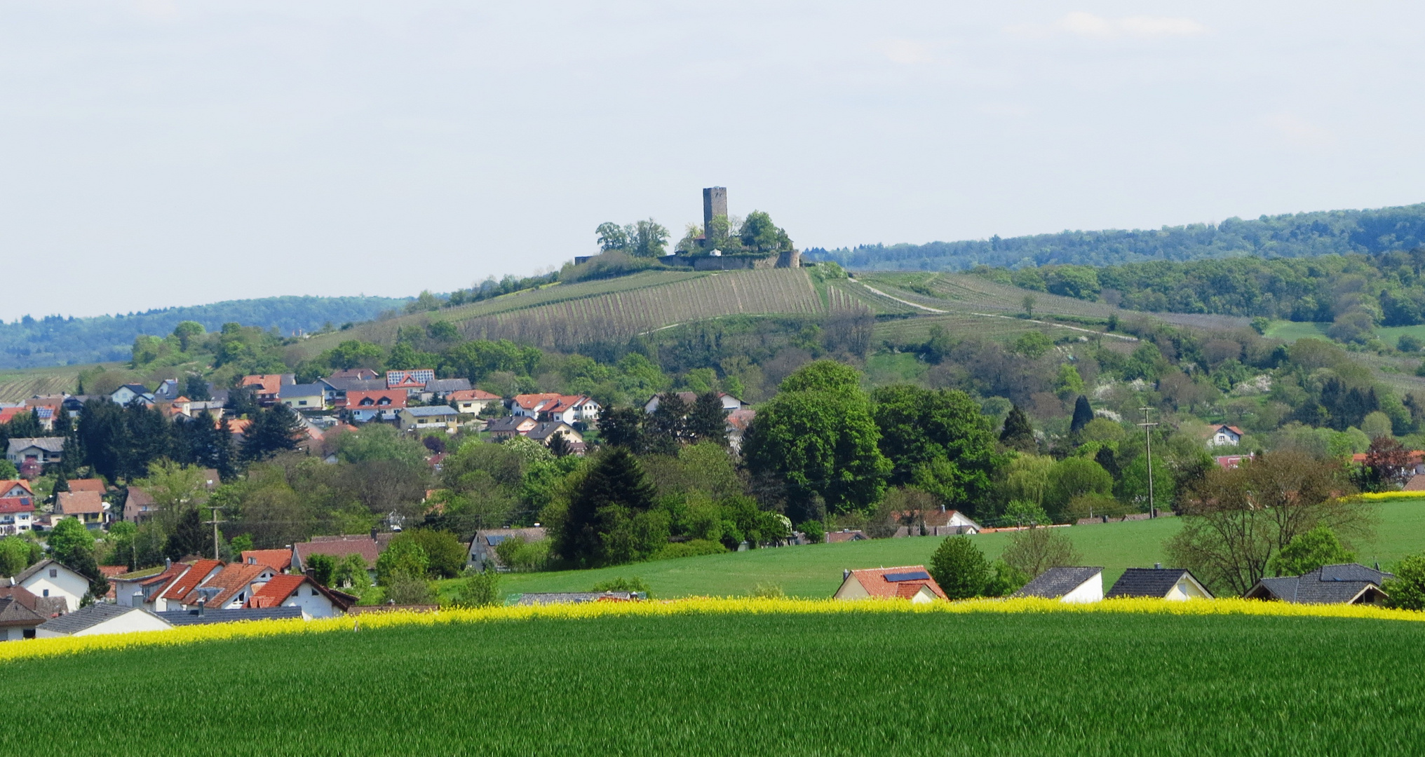 Ravensburg im Frühling