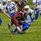 Ravensburg Razorbacks vs. Heidelberg Bulls