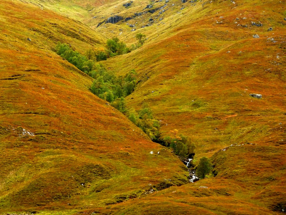 Ravine in Glen Shiel