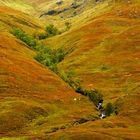 Ravine in Glen Shiel