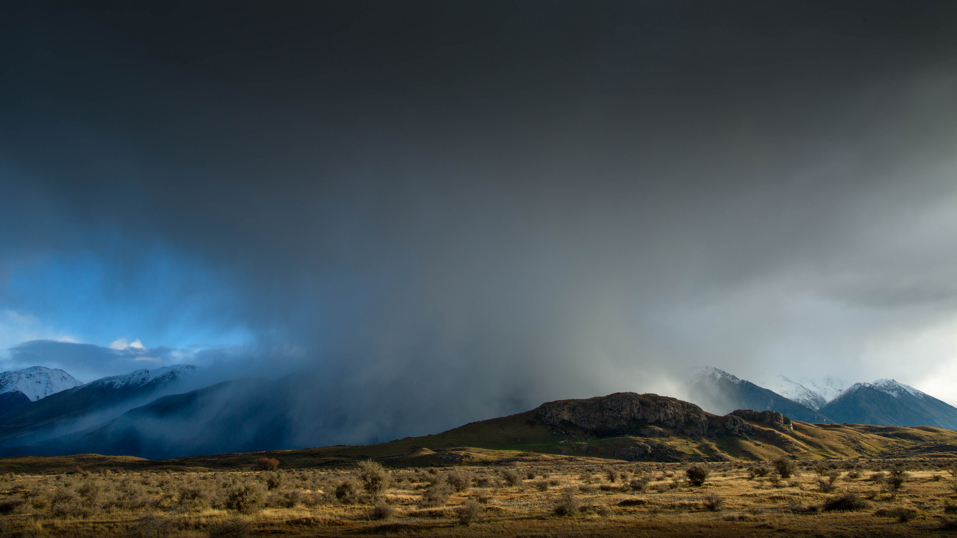 RAW NEW ZEALAND