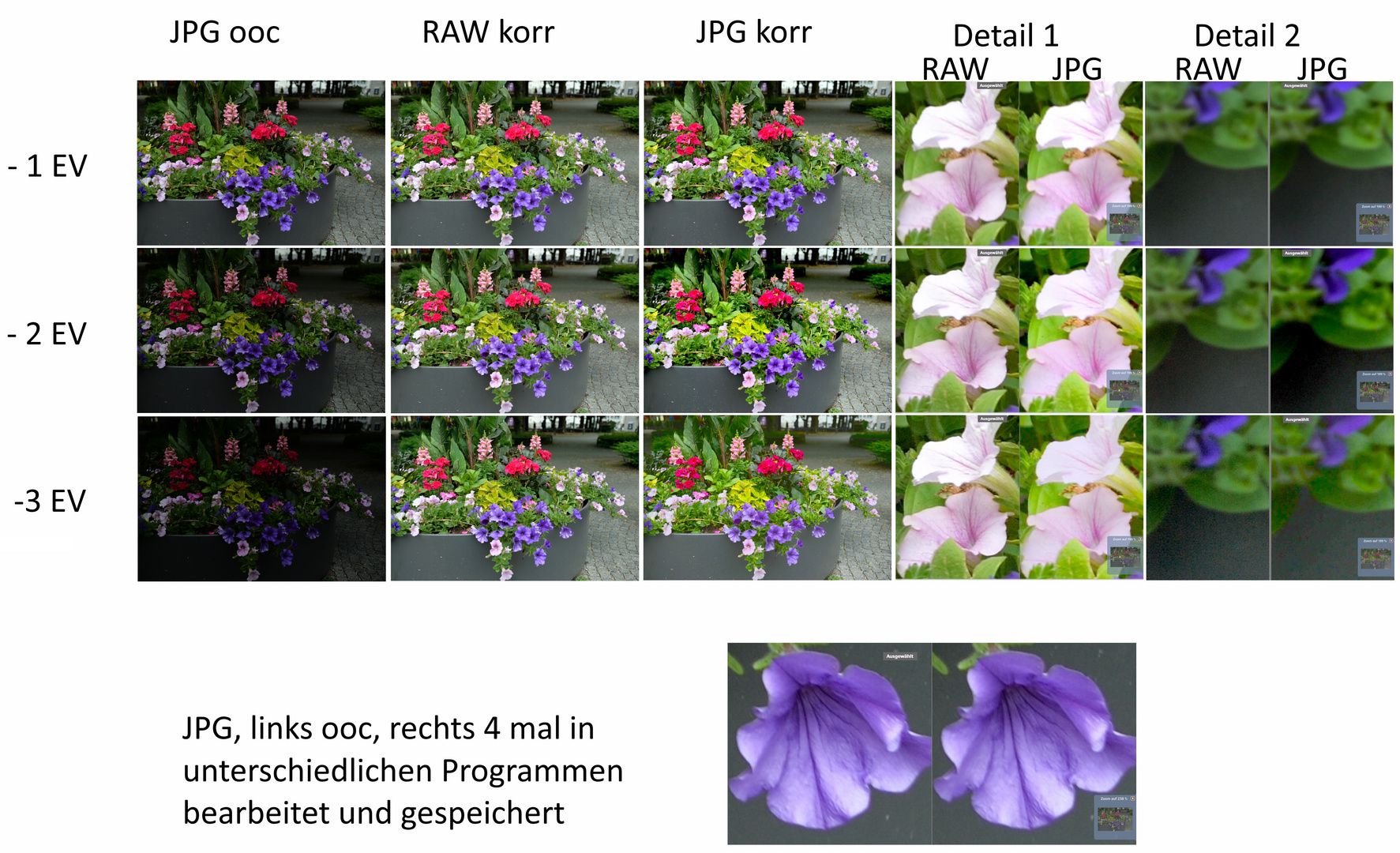 Raw versus Jpg - Beispiel Aufhellung