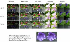 Raw versus Jpg - Beispiel Aufhellung