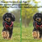 Raw vs Dxo Pure Raw vergleich