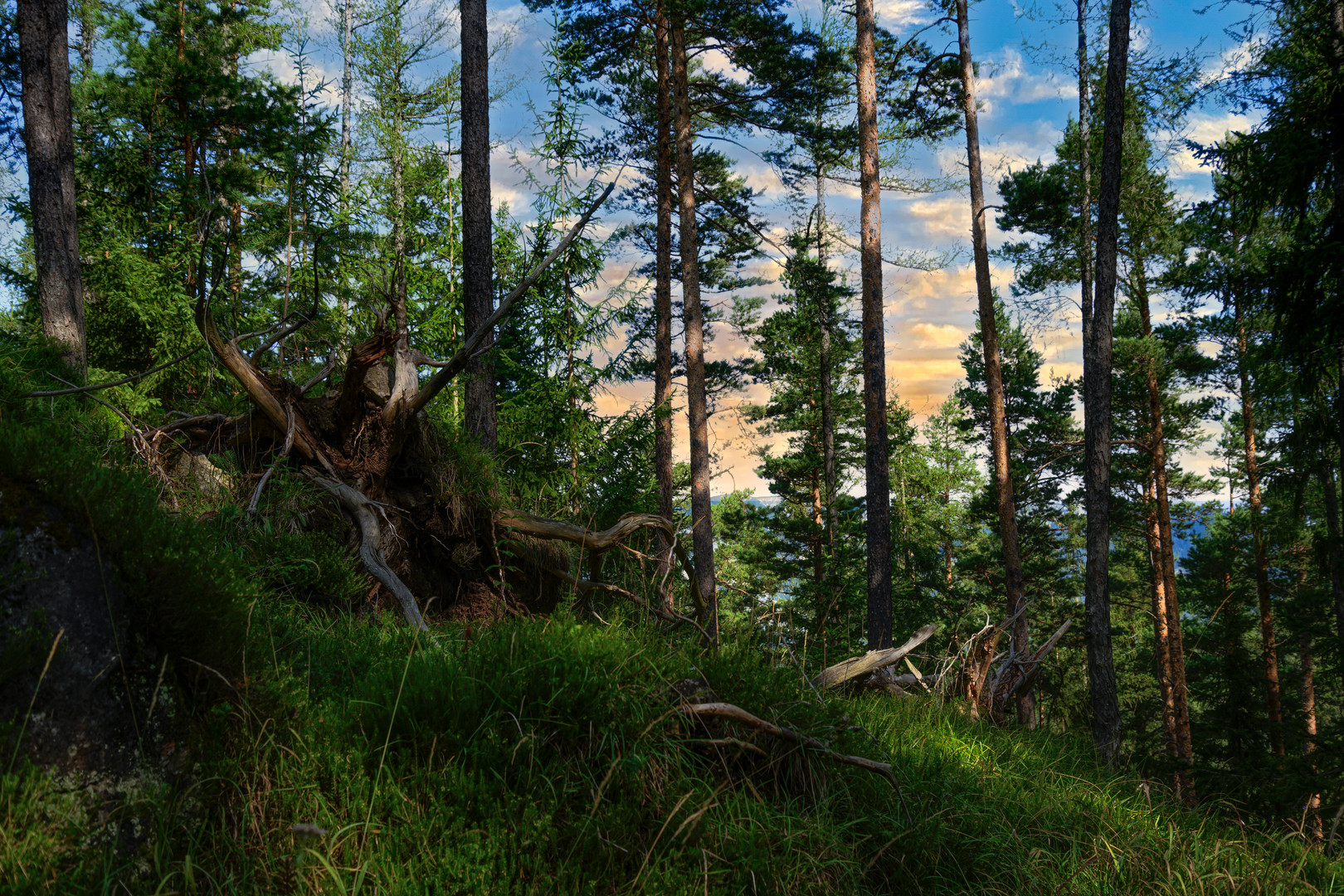 Rax-Semmeringgebiet, Niederösterreich