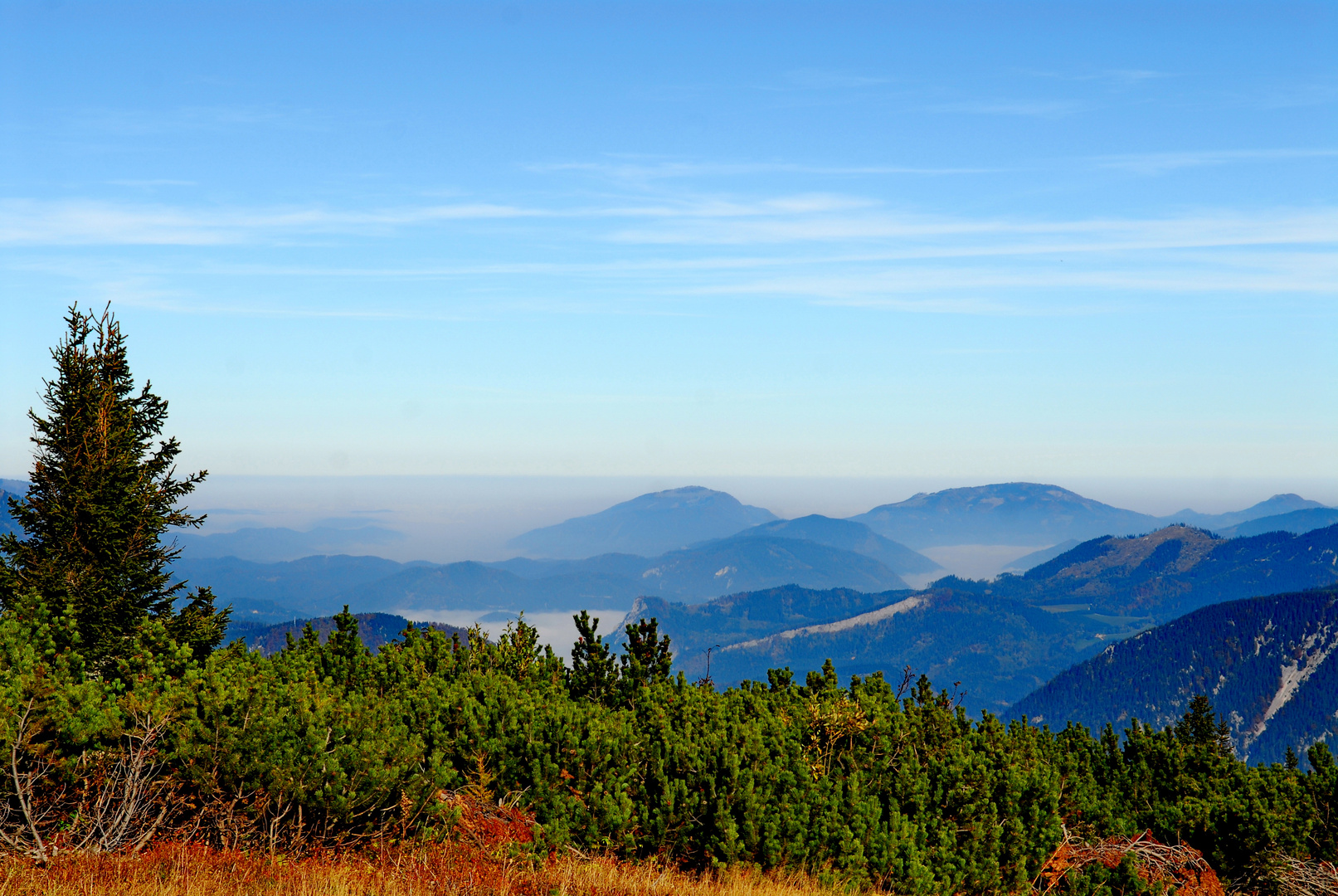 Raxregion Herbstnebel