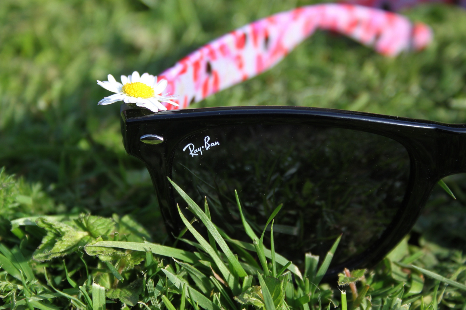 Ray Ban.