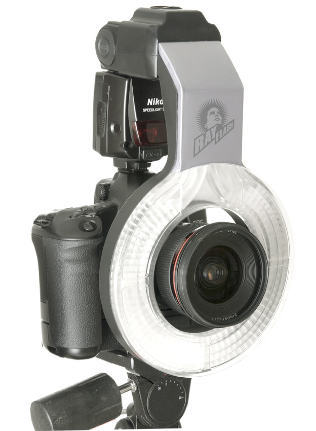 ray flash ringflash adaptor Foto & Bild werbe und produkt