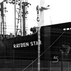 rayben star