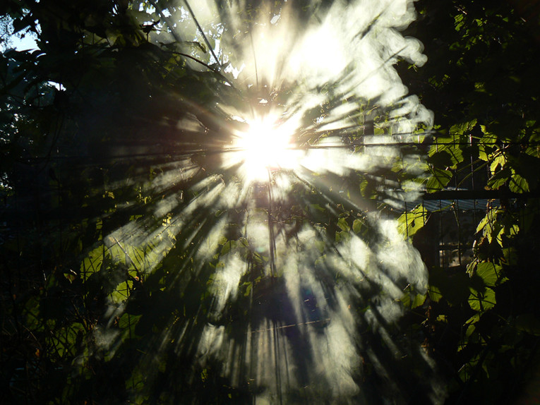 rayon de soleil dans la fumée du barbecue....