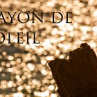 Rayon de soleil