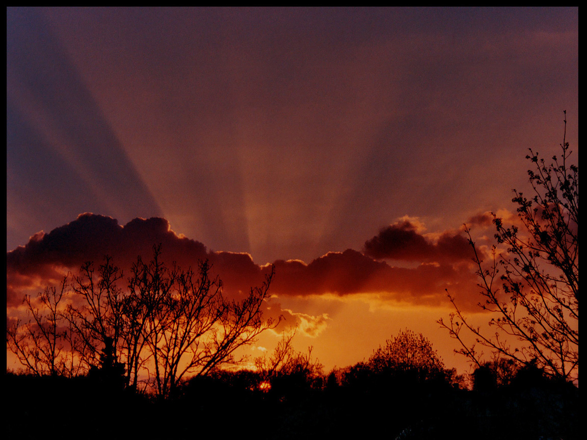 Rayons du soir