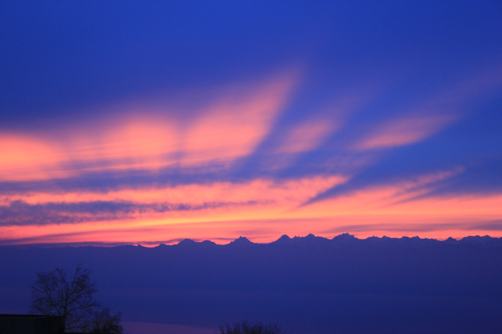 Rayons rosés