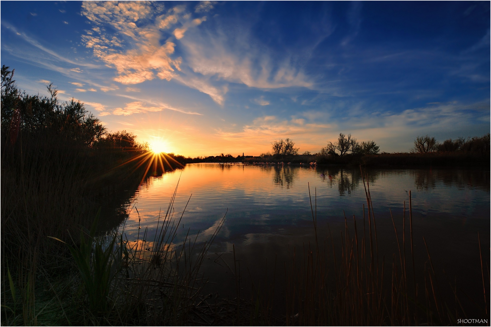 Rayons sur la Camargue