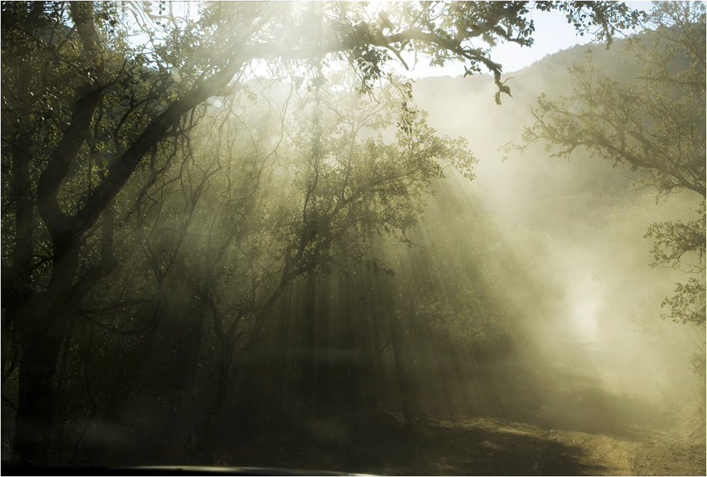 RAYOS DE LUZ