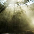 RAYOS DE LUZ