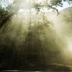 RAYOS DE LUZ