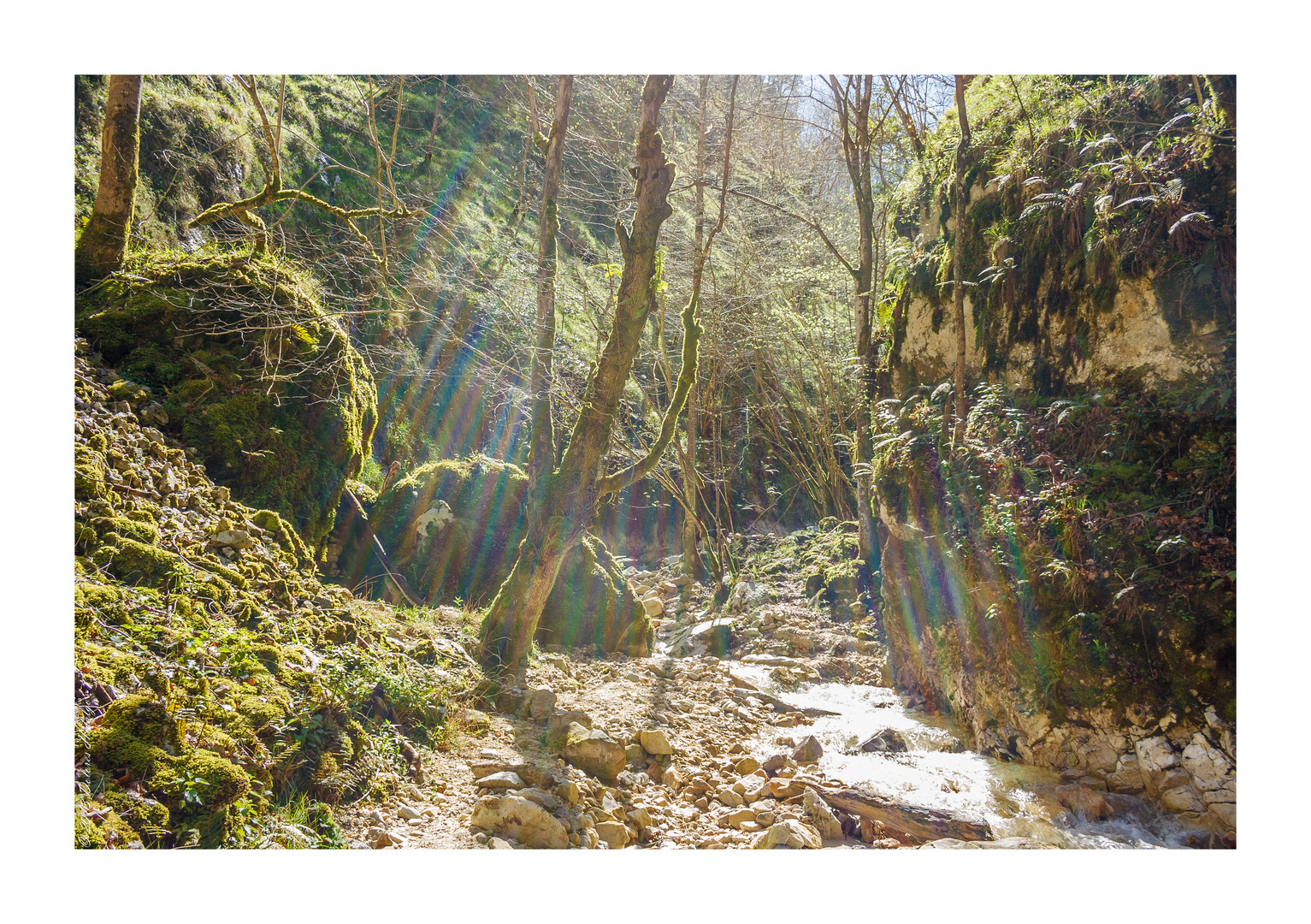 Rayos de luz