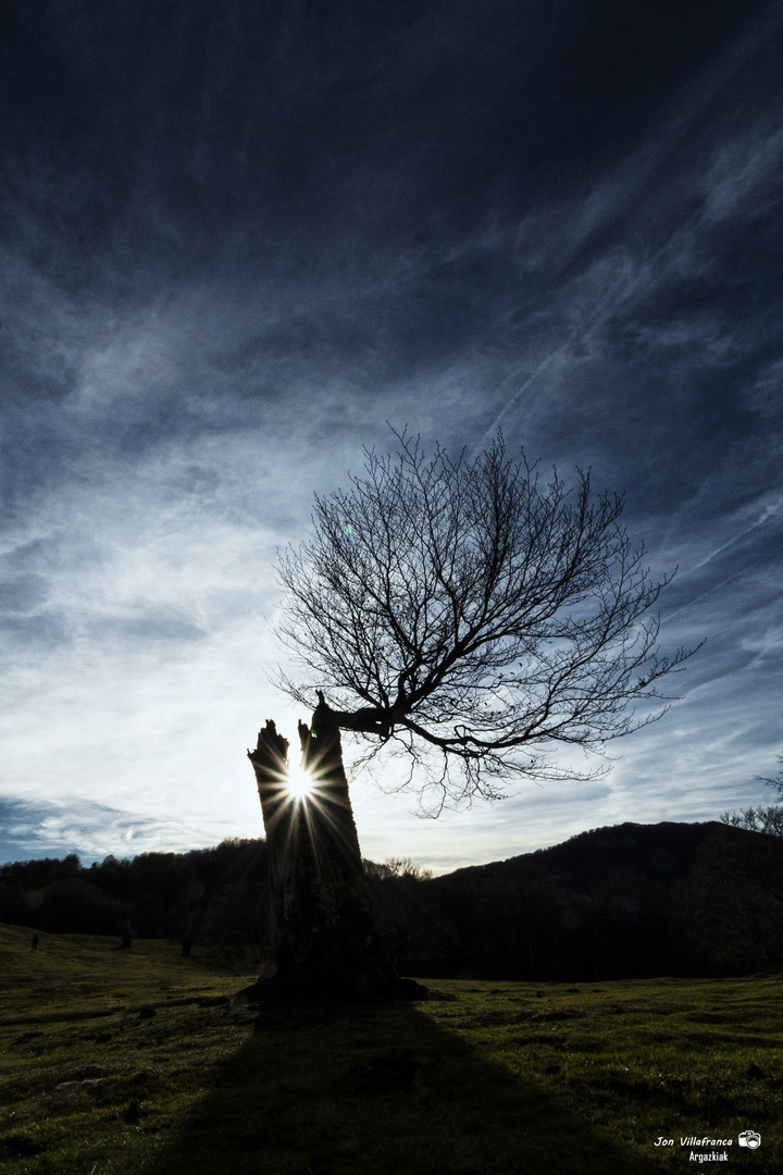 Rayos de sol