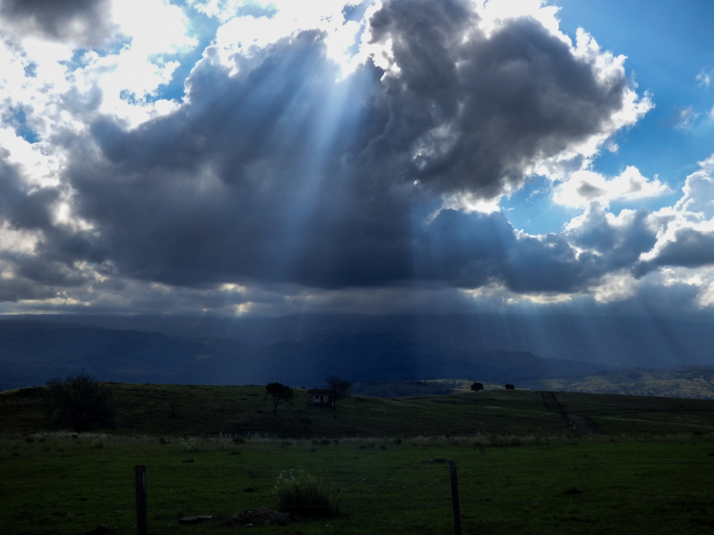 Rayos de sol