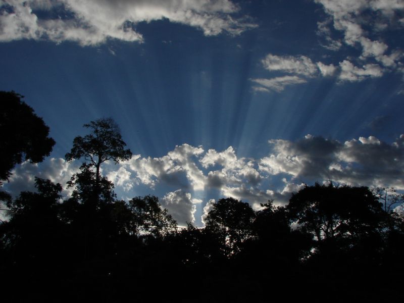 Rayos Solares