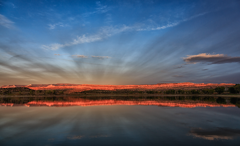 Rays