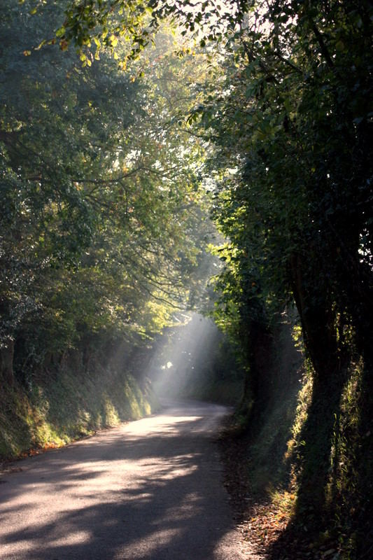 rays of light