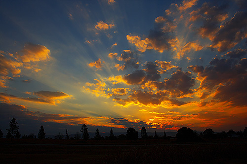 Rays of Light