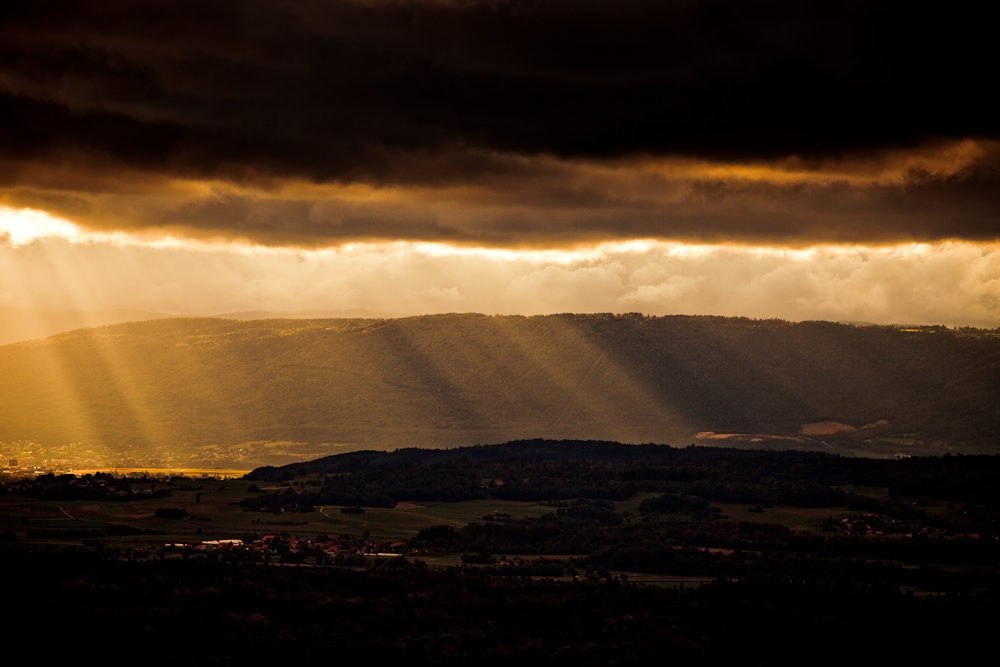 rays of sunshine