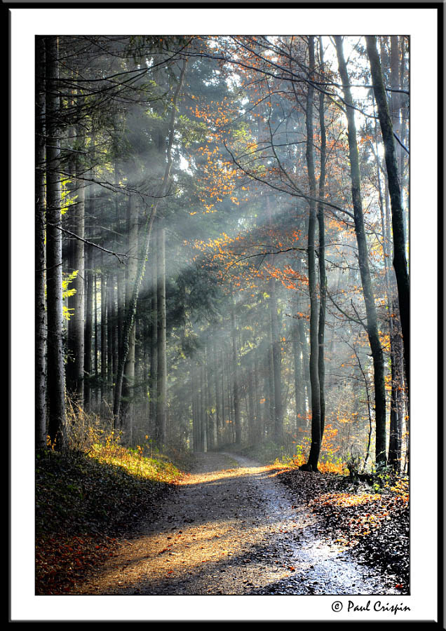 Rays on the Path