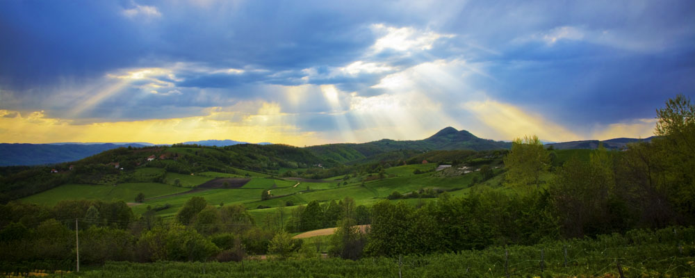 Rays over the sky