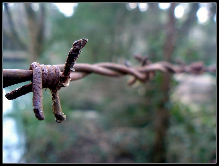 razor wire