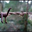 razor wire