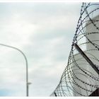 [ razor wire ]