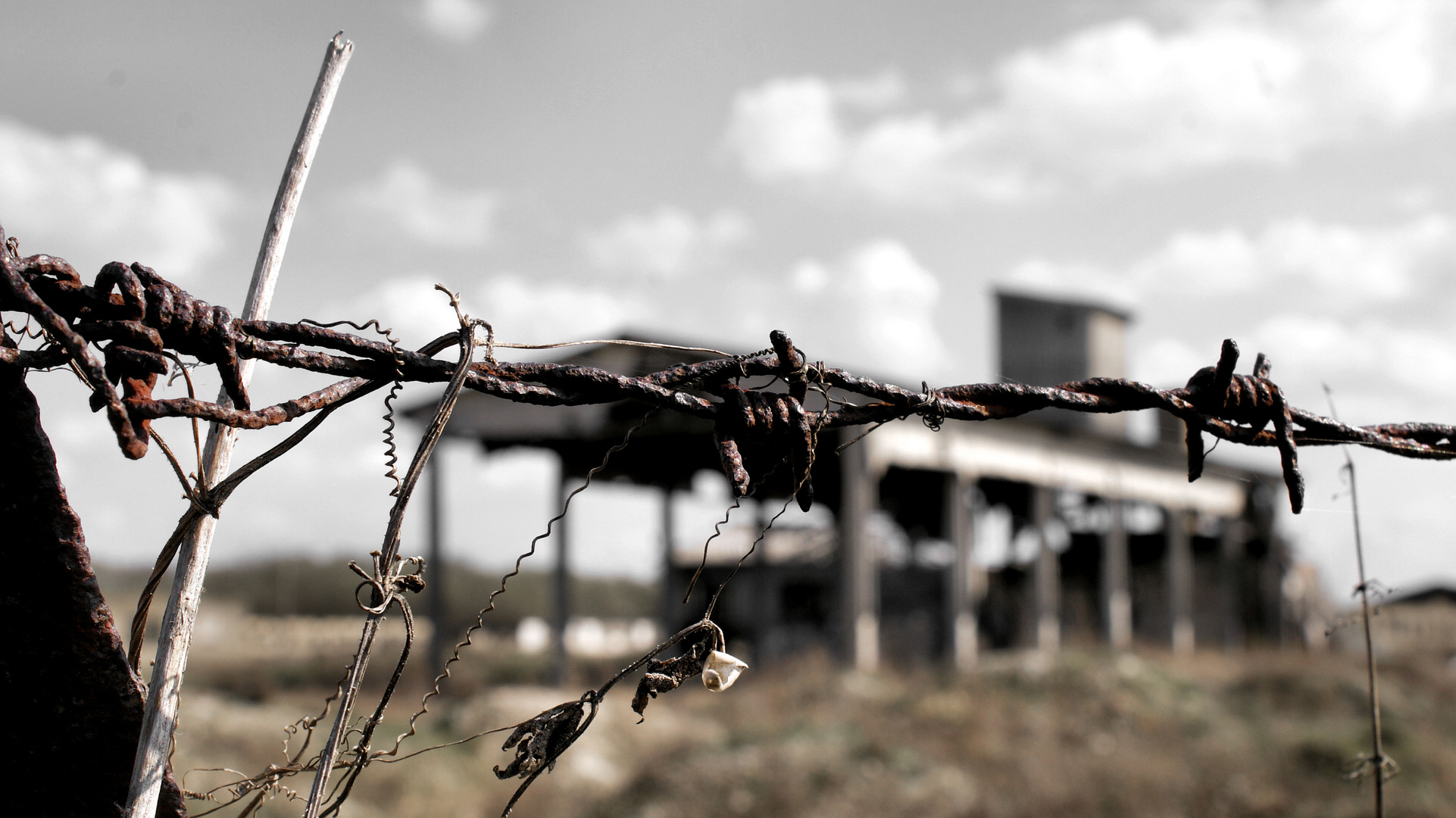 Razorwire