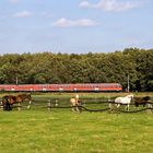 RB 14787 auf dem Weg nach Hannover