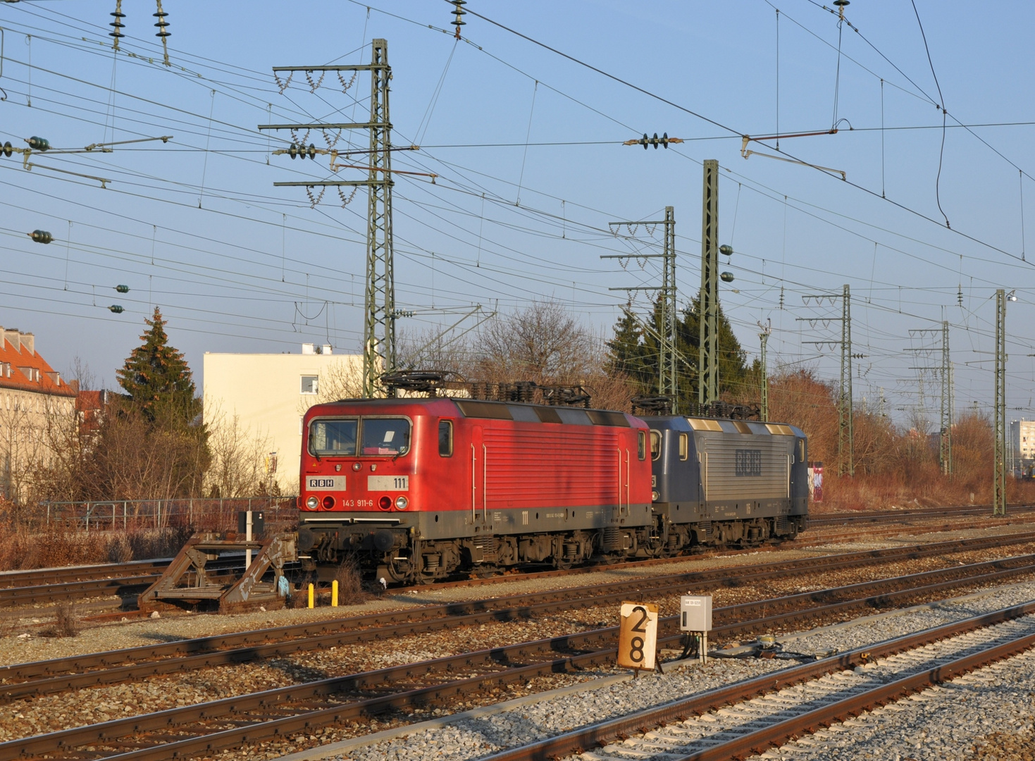 RBH Lady´s im Abendlicht