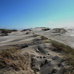 Råbjerg Mile ;Wanderdüne zwischen Nord- und Ostsee ;Auf dem Weg nach Skagen.