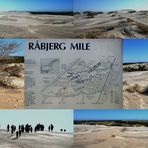 Råbjerg Mile.Eine riesige Wanderdüne