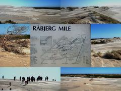 Råbjerg Mile.Eine riesige Wanderdüne