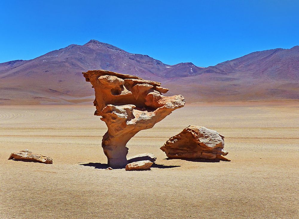 Árbol de Piedra